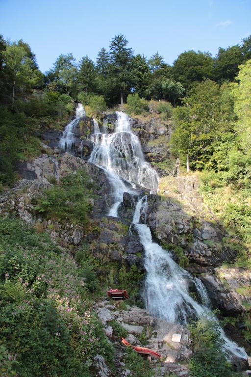 Hotel Krone Stuehlingen - Das Tor Zum Suedschwarzwald شتولينغن المظهر الخارجي الصورة